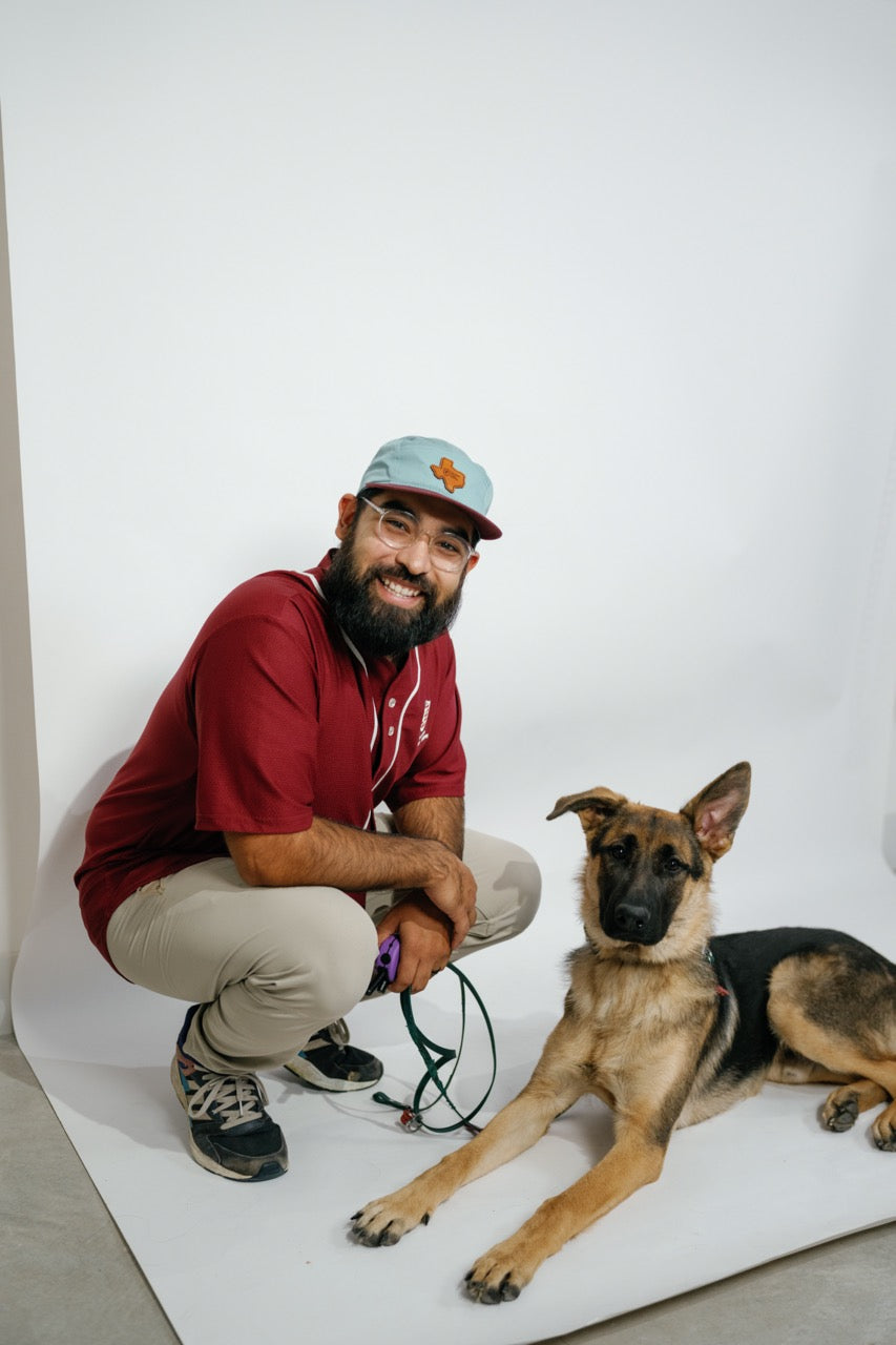 3 Week Board and Train Program & Micro Educator